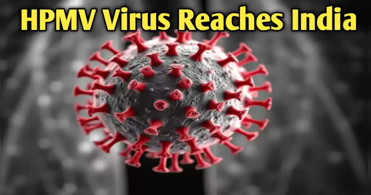 HPMV Virus Reaches India: Infection Confirmed in 8-Month-Old