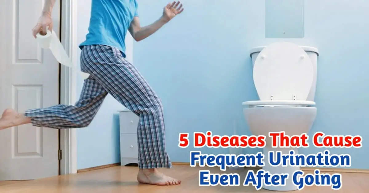 5 Diseases That Cause Frequent Urination Even After Going